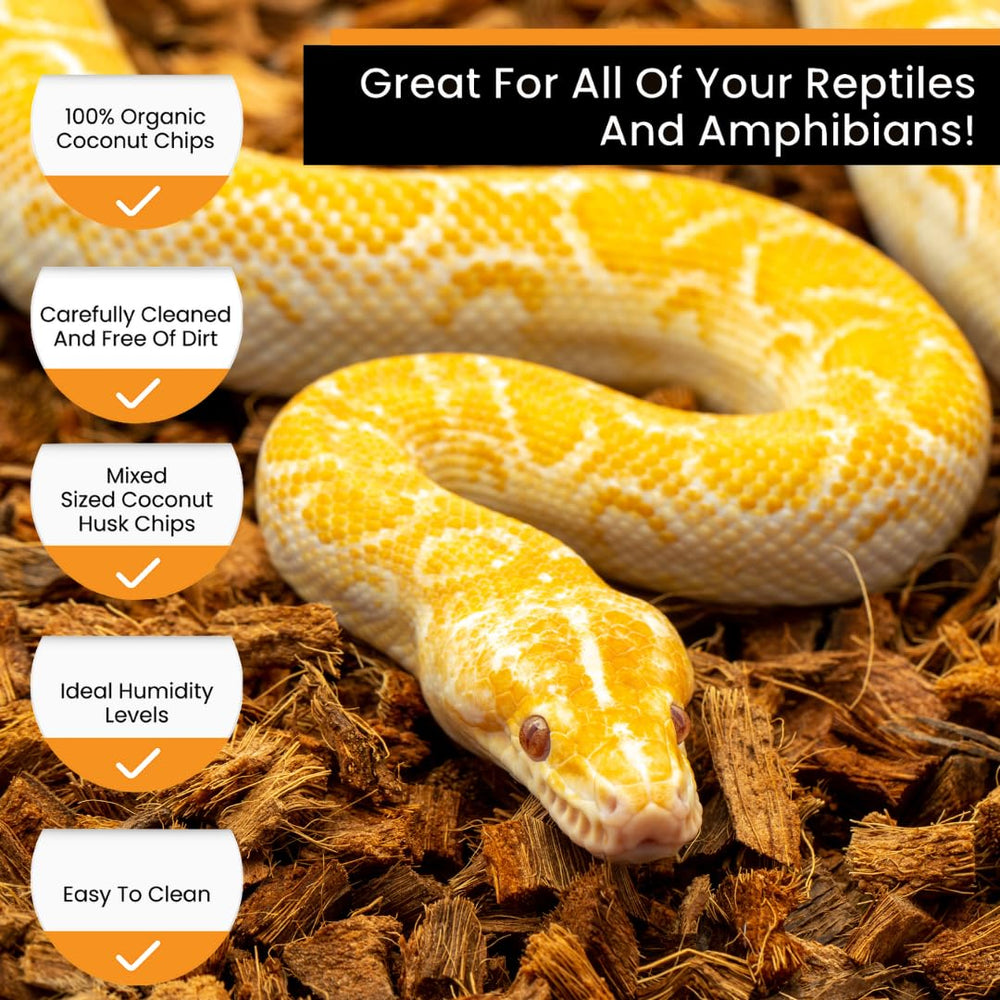 ReptiChip coconut husk bedding for turtle and tortoise tanks supports natural digging and humidity balance.
