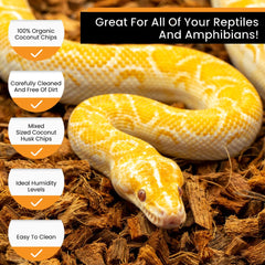 ReptiChip coconut husk bedding for turtle and tortoise tanks supports natural digging and humidity balance.