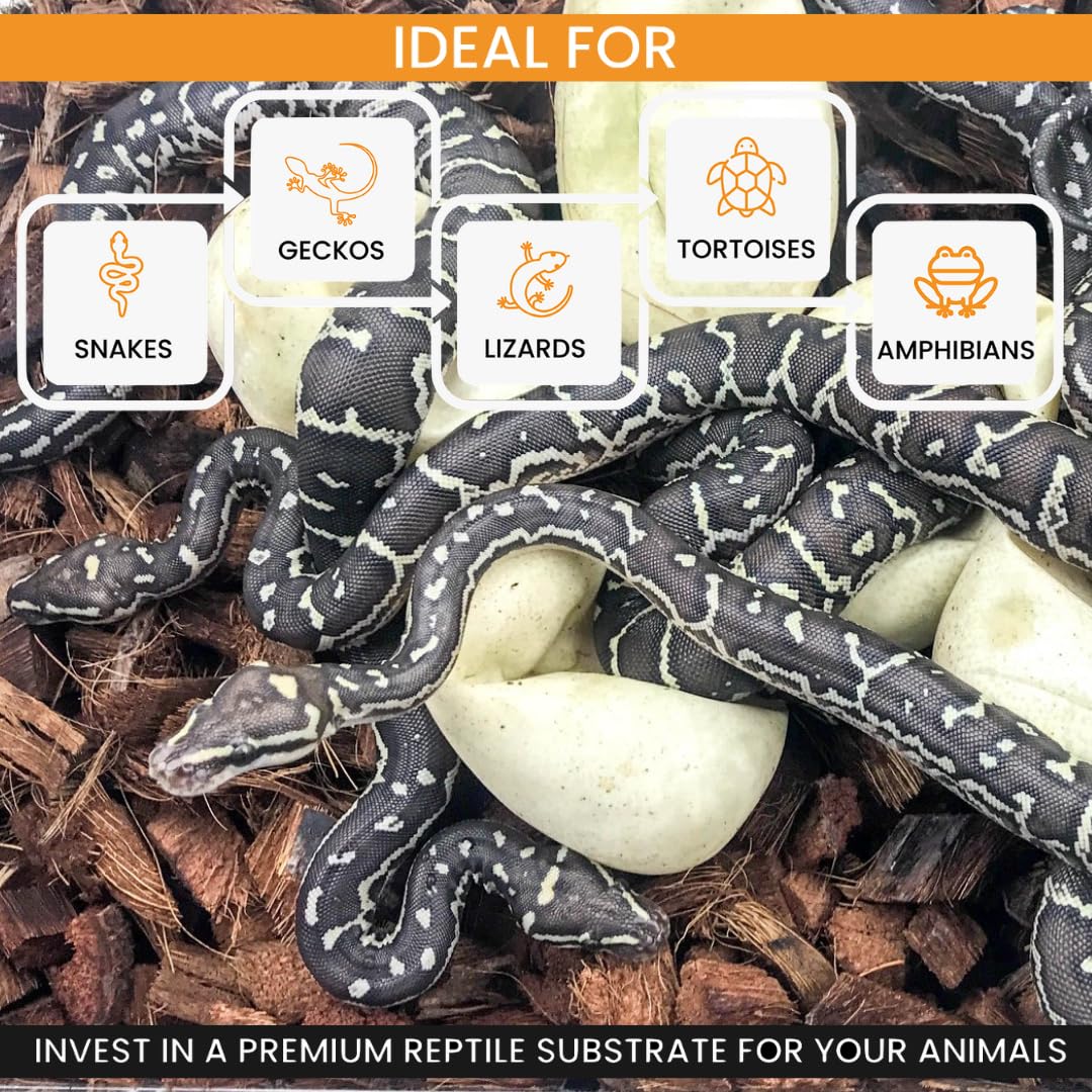 ReptiChip gecko tortoise tank setup shows versatile substrate for diverse habitats.