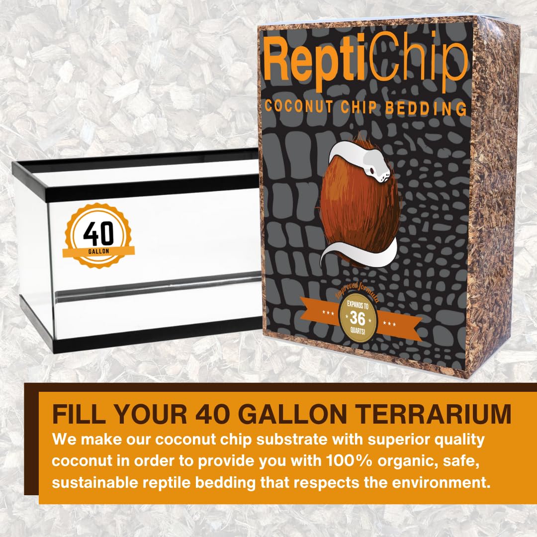 ReptiChip moistened substrate demonstrates easy moisture control for tropical reptile setups.