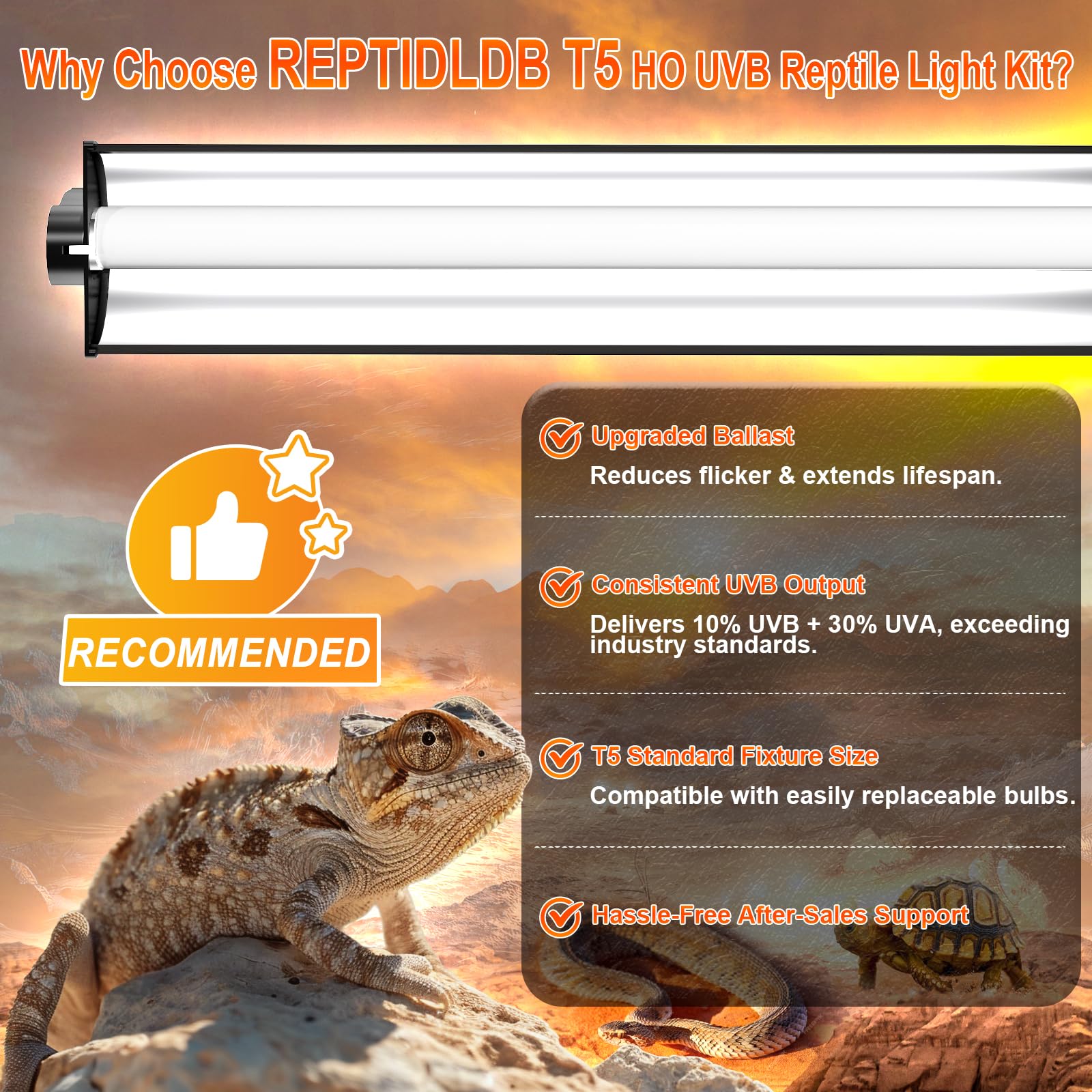 REPTIDLDB replaceable UVB bulb kit enables easy maintenance and flexibility.