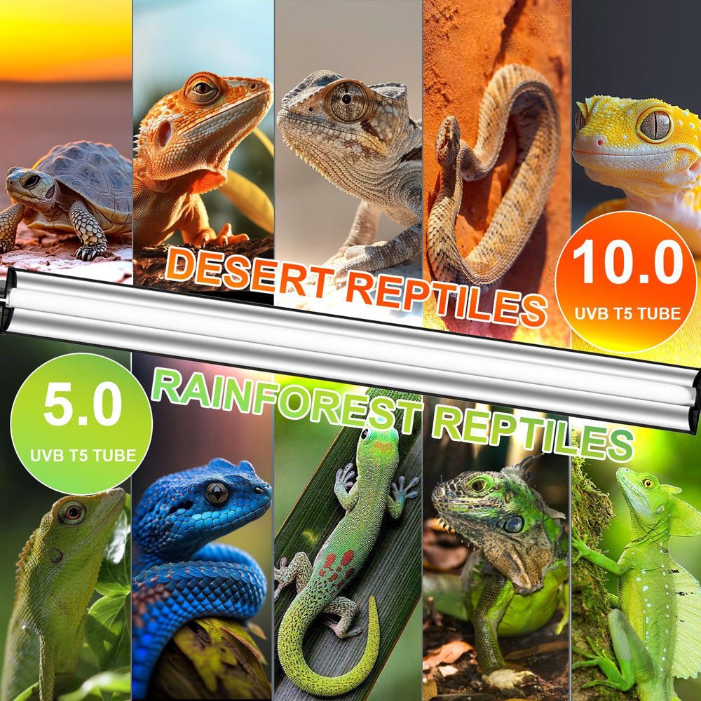 REPTIDLDB UVB 10.0 vs 5.0 options tailor exposure for tropical or desert species.