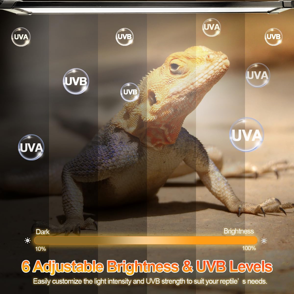 REPTIDLDB aluminum body UVB light stays cool with durable heat dissipation