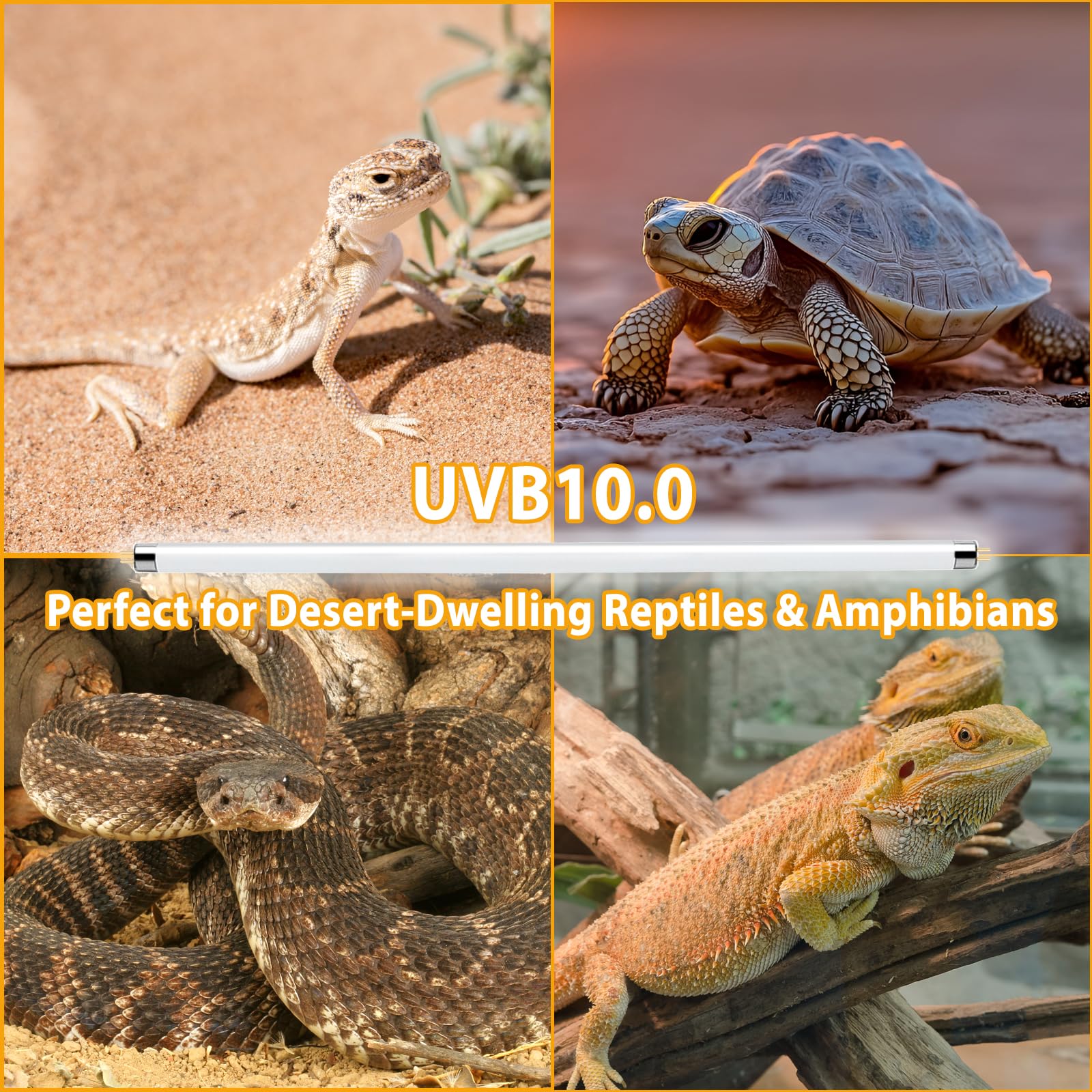 REPTIDLDB bearded-dragon enclosure with reliable UVA/UVB exposure