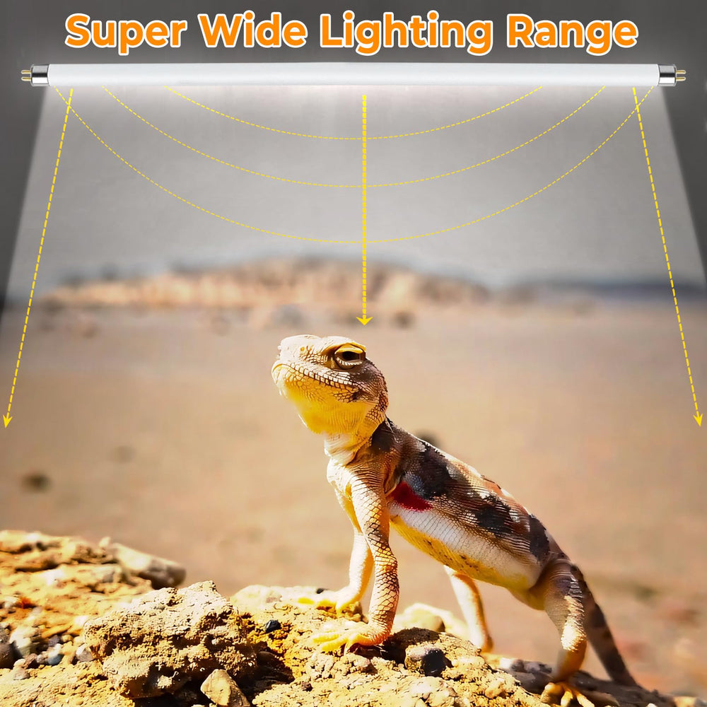 REPTIDLDB desert-tropical setup showing versatile UVB lighting for multiple species
