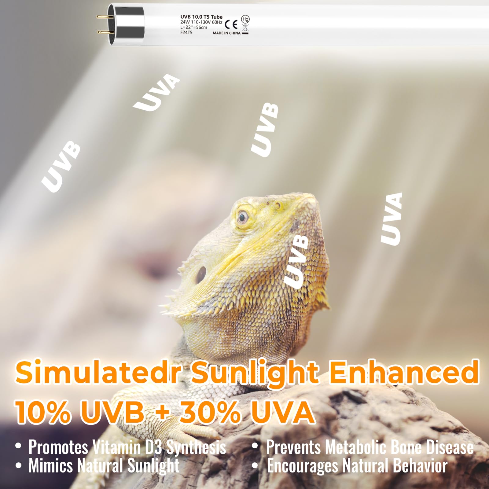 REPTIDLDB long-life UVB light bar brightening a bearded dragon habitat
