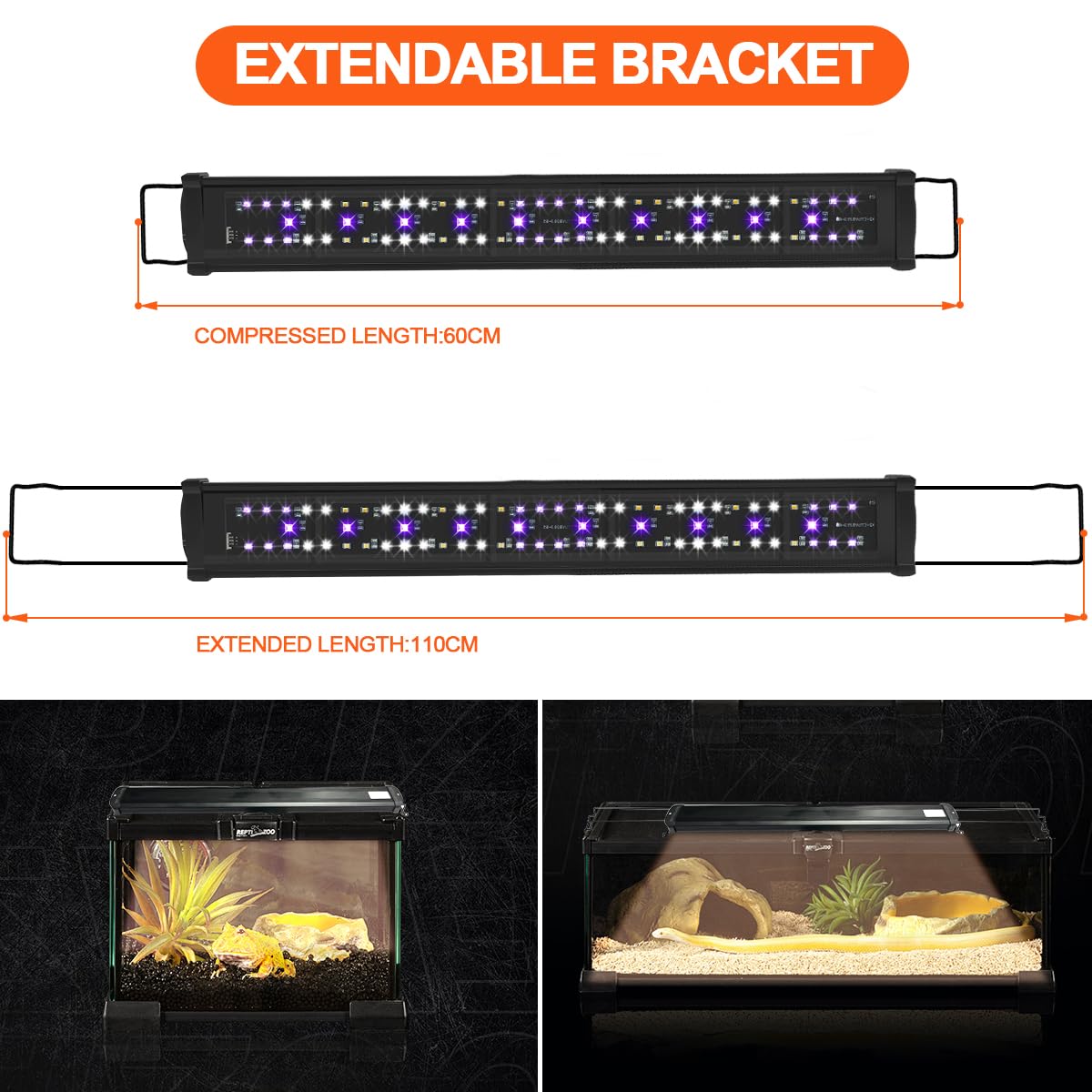 REPTIDLDB UVB light provides even coverage and reliable UVB exposure
