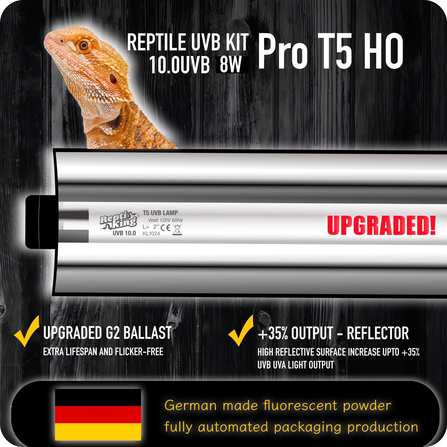 ReptiKing bearded dragon UVB basking image emphasizing daytime activity