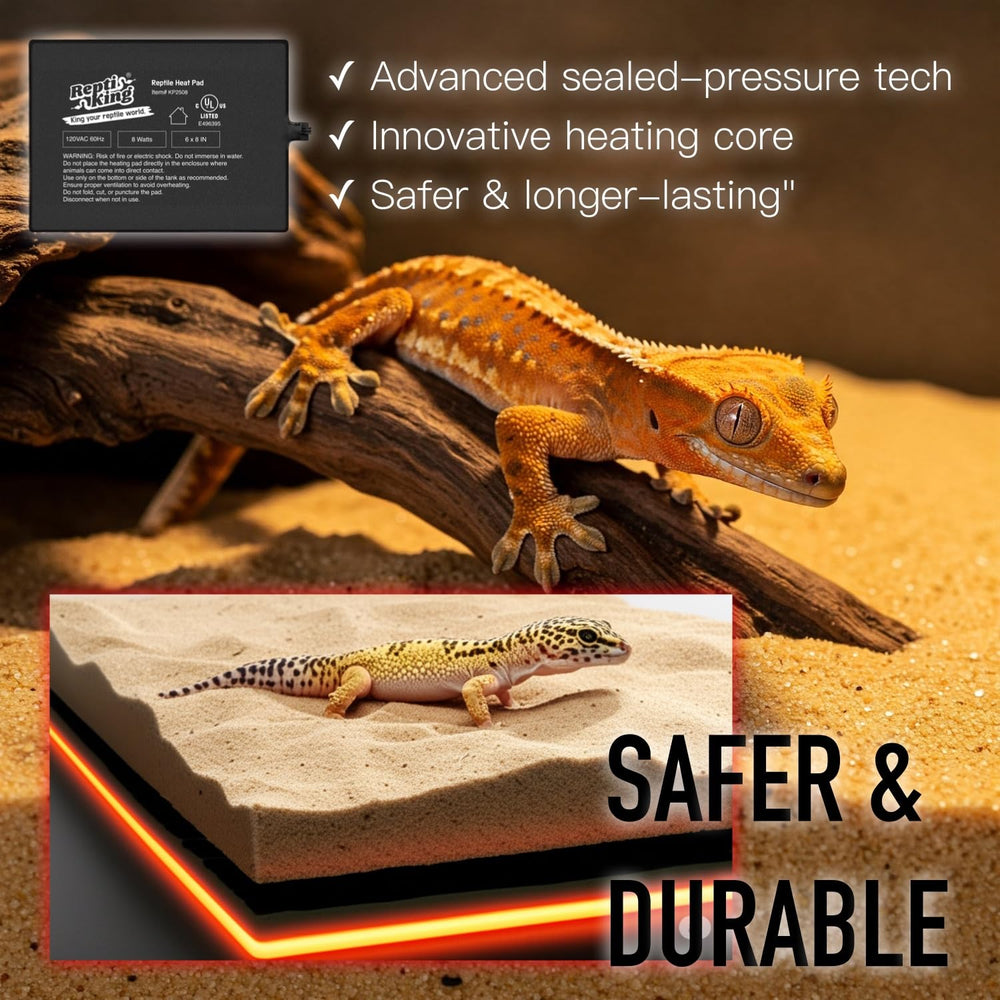 ReptiKing heat pad in terrarium illustrates bottom placement for steady heat.