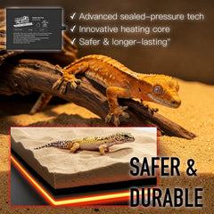 ReptiKing heat pad in terrarium illustrates bottom placement for steady heat.