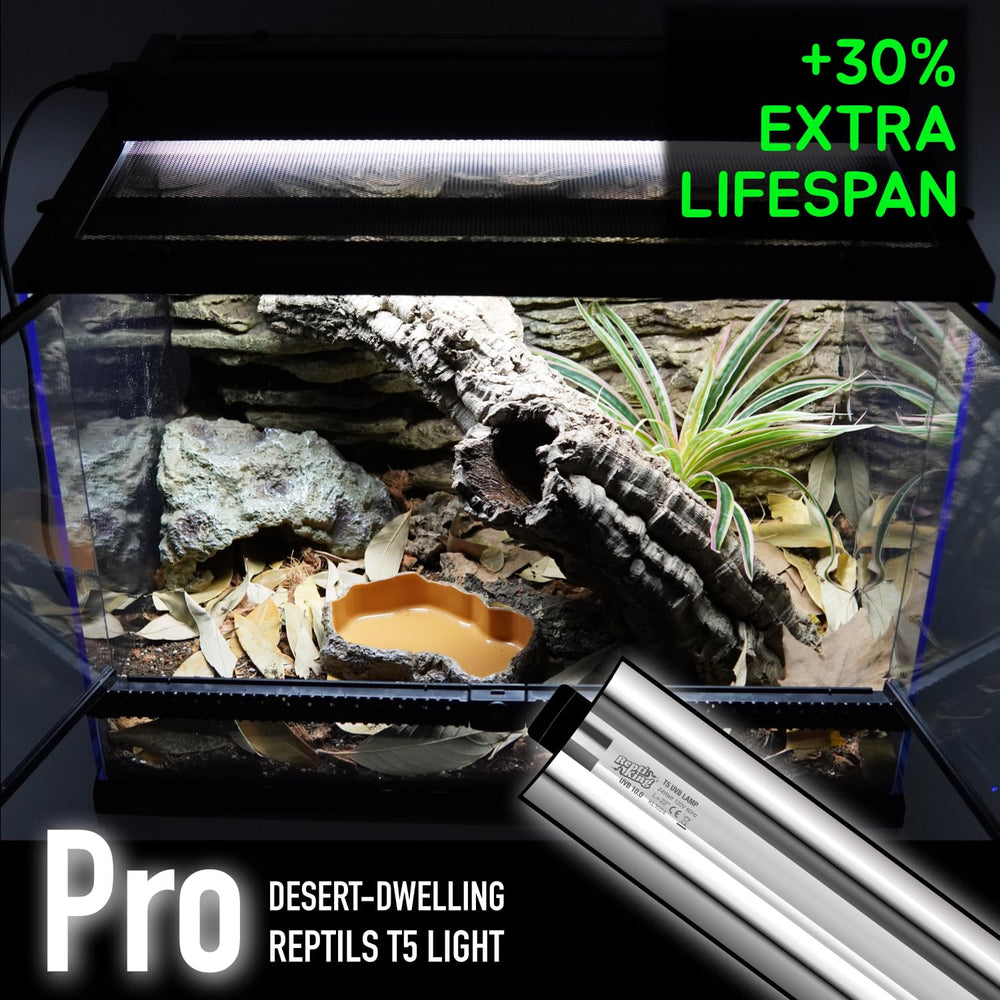 ReptiKing strip-linear UVB lamp in-use demonstrating compact form and steady output