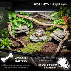 ReptiKing T5 UVB fixture 8W in a terrarium setup for reliable UVB exposure