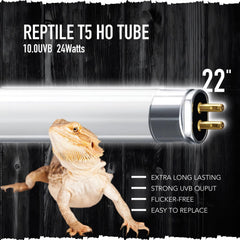 ReptiKing T5 UVB tube in screen cage supports desert reptile health.