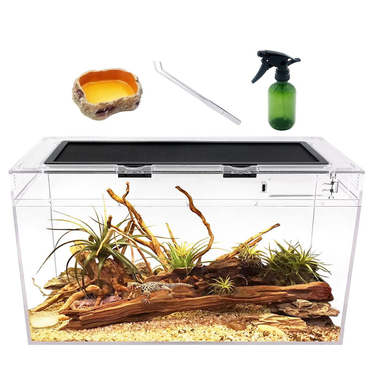 Reptile Growth 10-Gallon Terrarium front view for clear observation of your reptile