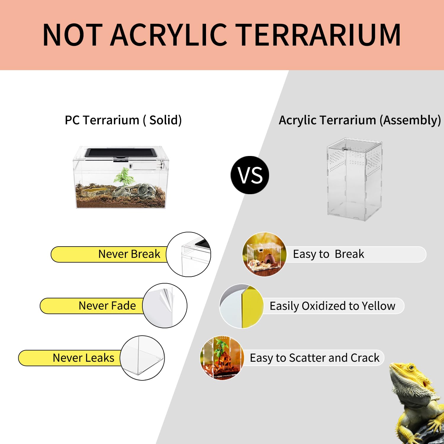 Reptile Growth Mini Terrarium durable base handles desert and tropical setups