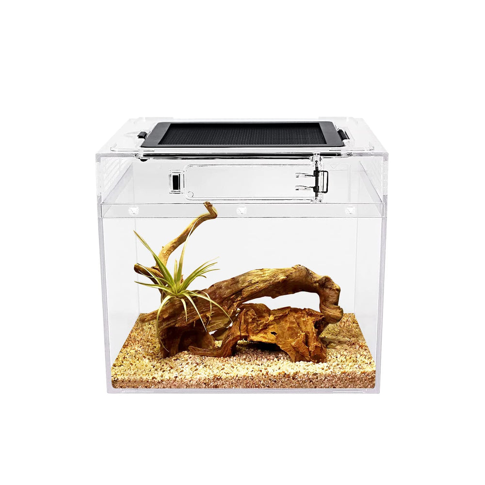 Reptile Growth mini terrarium full view for easy pet observation and display