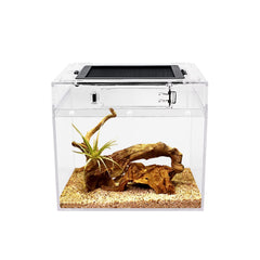 Reptile Growth mini terrarium full view for easy pet observation and display