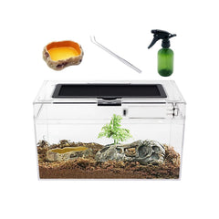 Reptile Growth Mini Terrarium full-view offers clear 360-degree visibility for observation