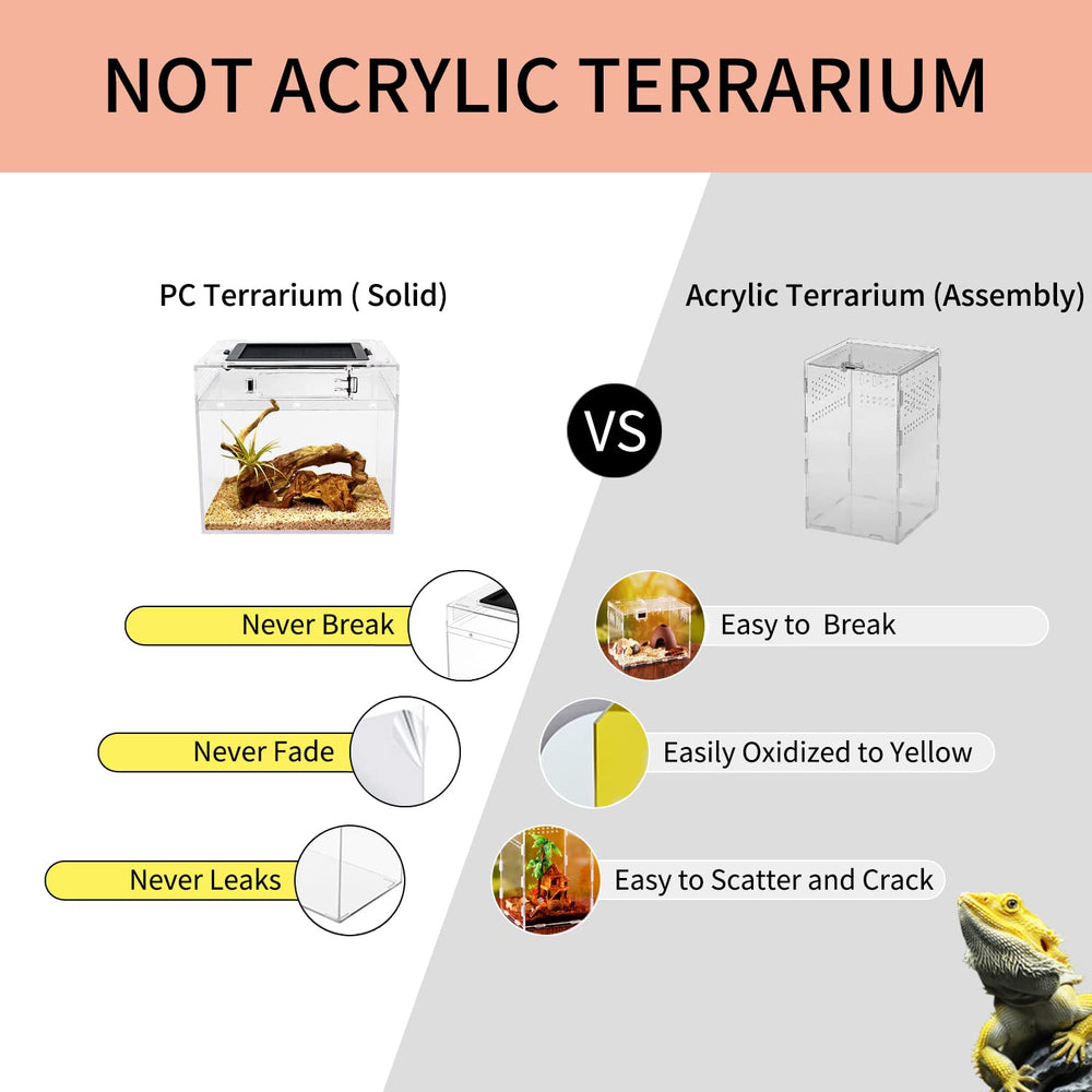 Reptile Growth mini terrarium vent-top ensures steady airflow and healthy habitat
