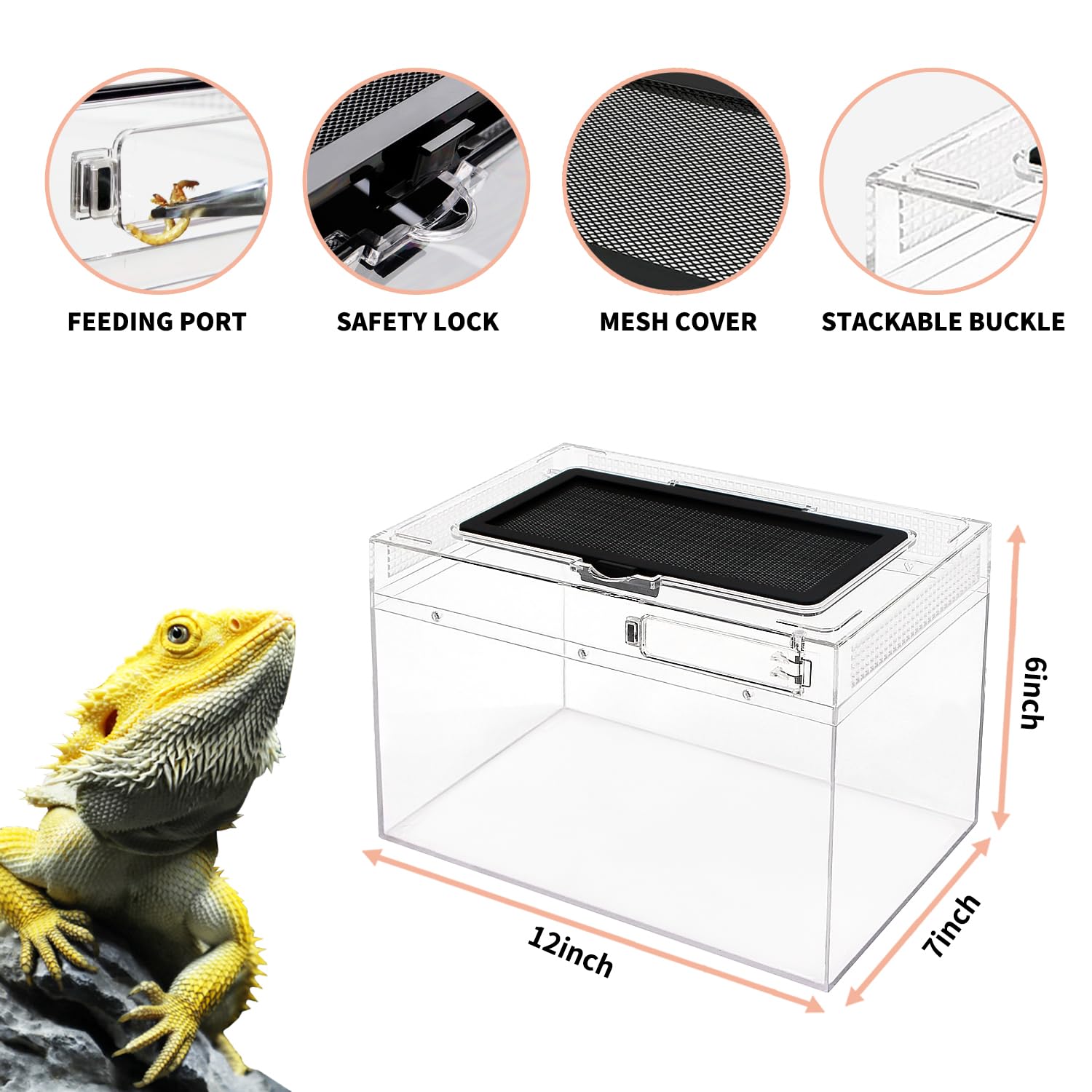 Reptile Growth Mini Terrarium ventilated-top provides healthy airflow for overhead heat sources