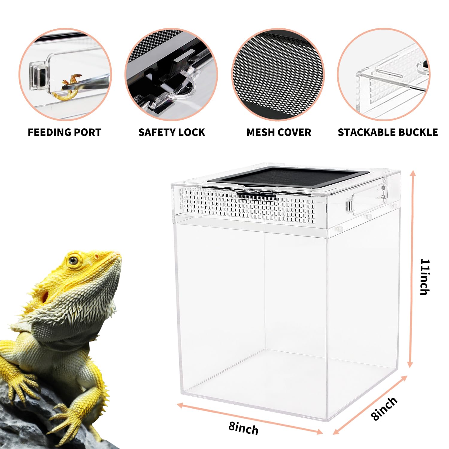 Reptile Growth tall terrarium explosion-proof PC base emphasizes safety during handling