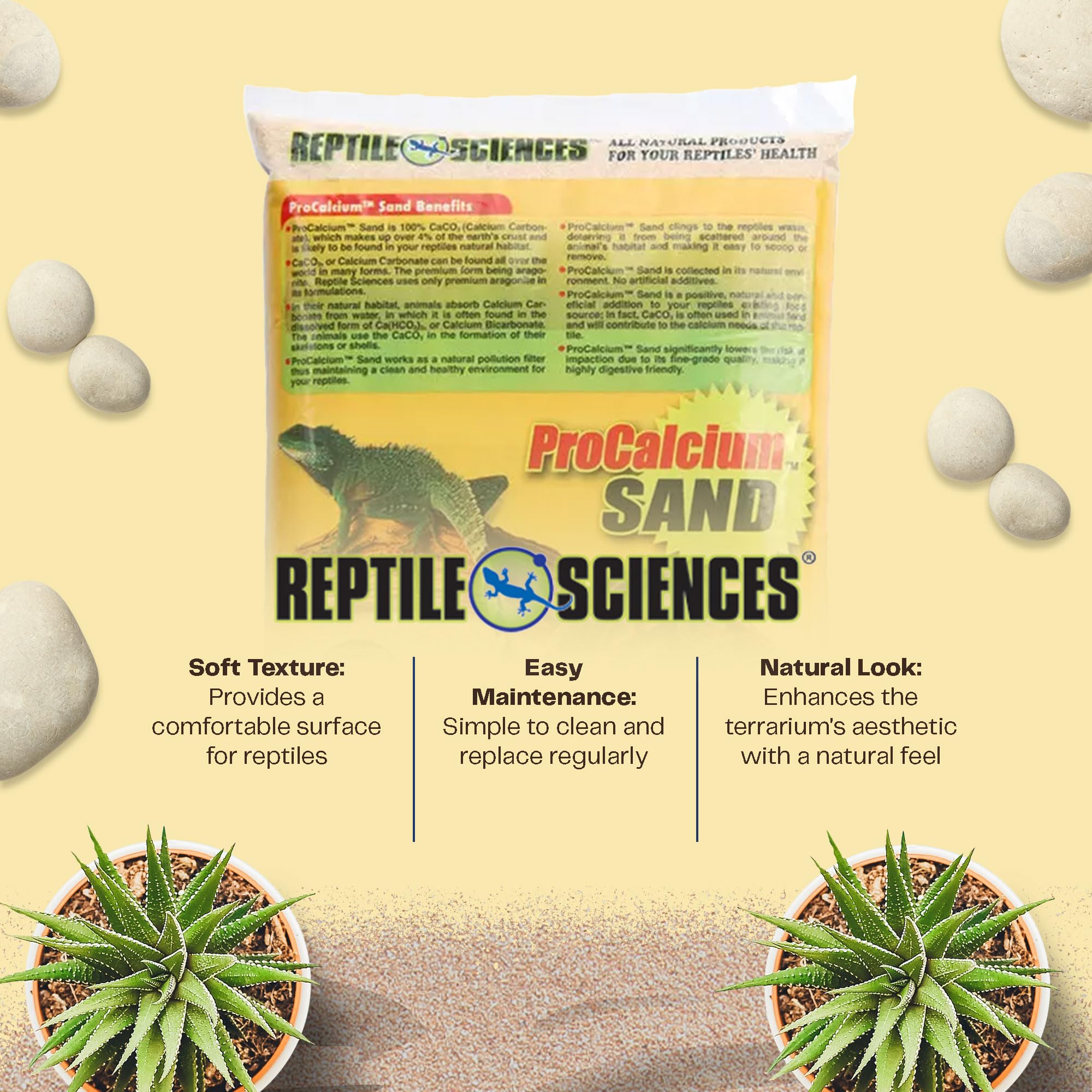 Reptile Sciences Sedona Sand bearded dragon habitat detail and depth