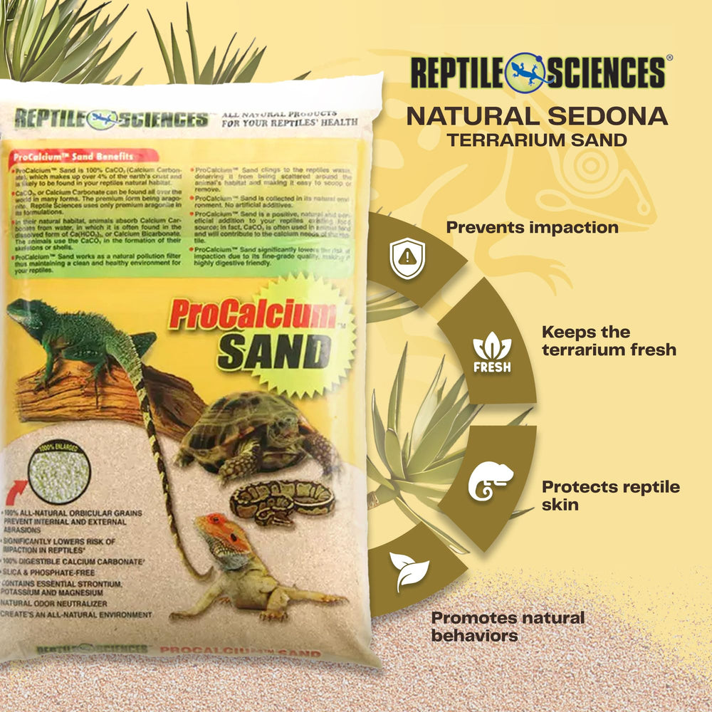 Reptile Sciences Sedona Sand soft-grain texture supports digging behavior