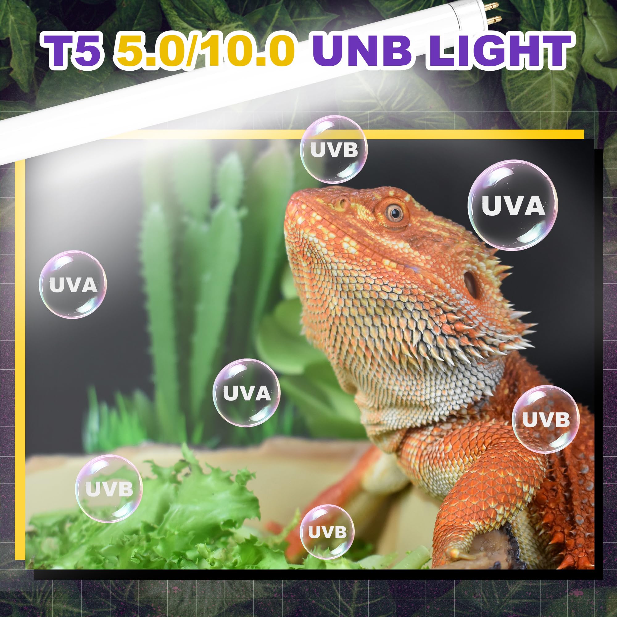 Reptispa T5 HO 8W 2-pack for easy replacement and stable illumination.