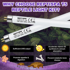 Reptispa UVB light 10.0 bulb for desert reptile health and activity.