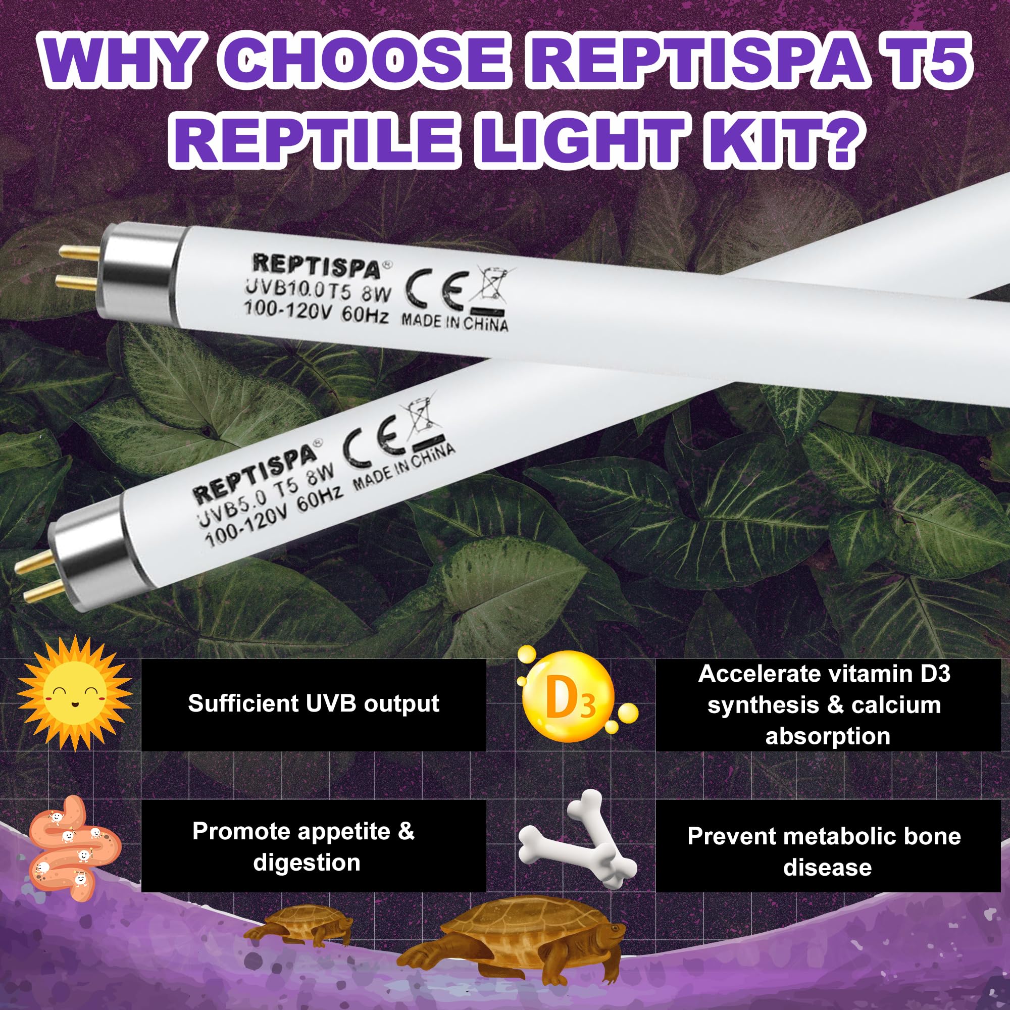 Reptispa UVB light installed in terrarium showing easy installation for consistent basking.