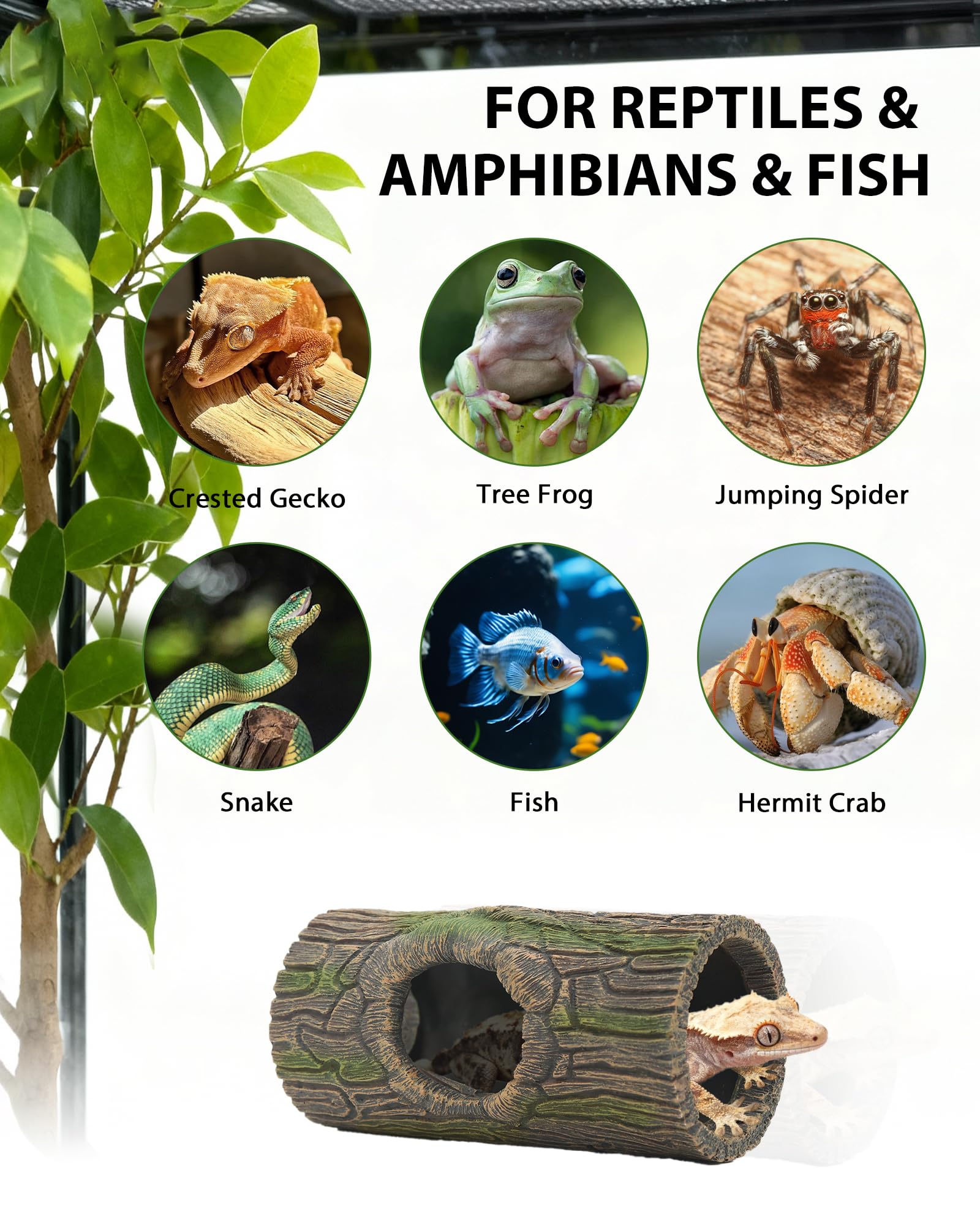 REPTITRIP arboreal-friendly hide suitable for crested geckos and tree frogs