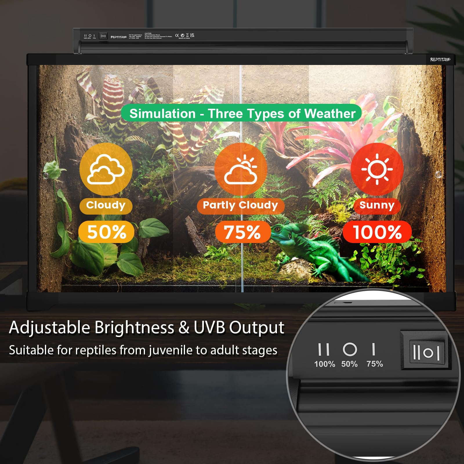 REPTITRIP brightness control shows adjustable UVB levels for day-night cycles.