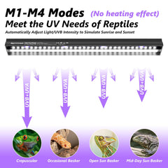REPTITRIP LED UVB light controller showing four modes for versatile reptile care.