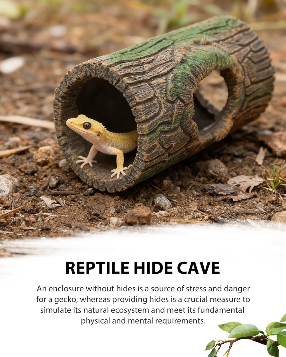 REPTITRIP resin surface is colorfast and fade resistant