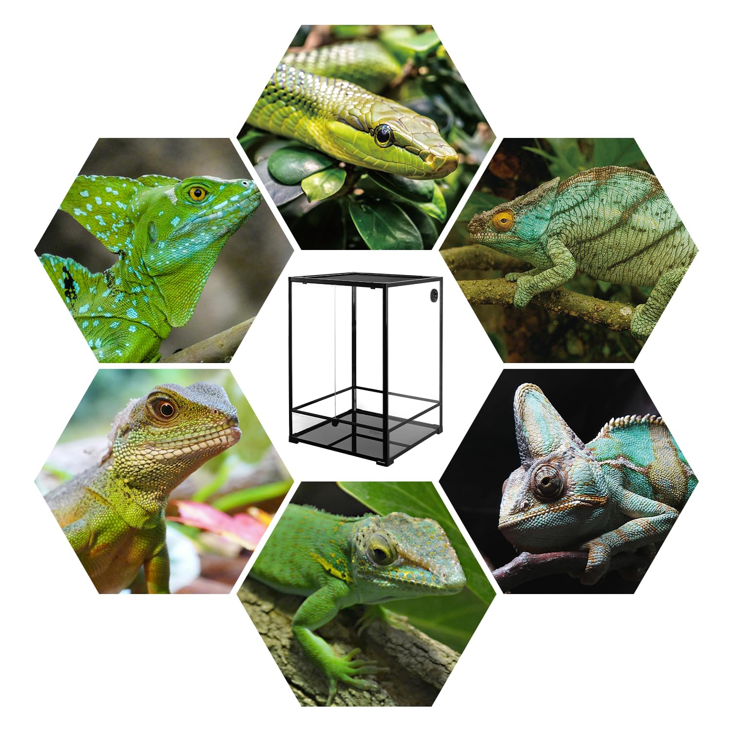 REPTIZOO 90-gallon terrarium supports desert-to-rainforest use with versatile ventilation options.