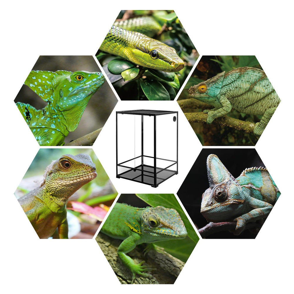 REPTIZOO 90-gallon terrarium supports desert-to-rainforest use with versatile ventilation options.