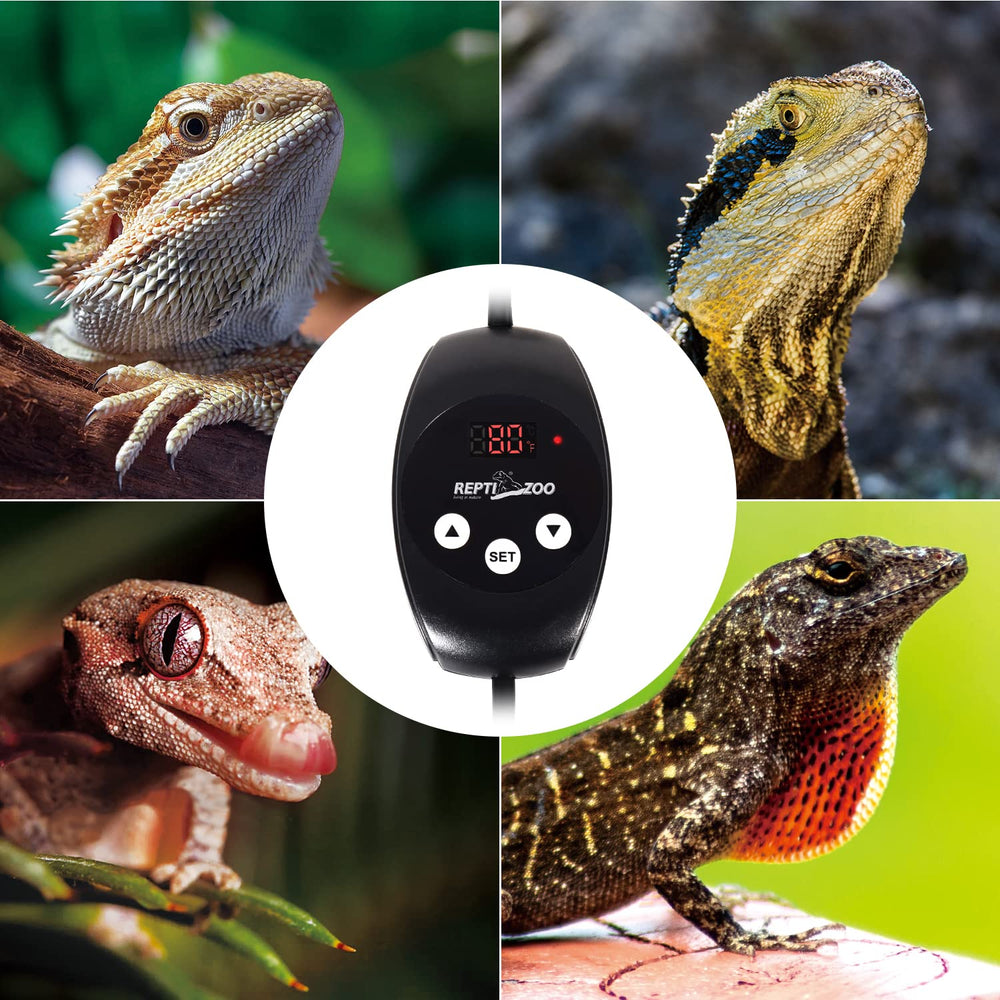 reptizoo dimming thermostat power cable and control panel close-up
