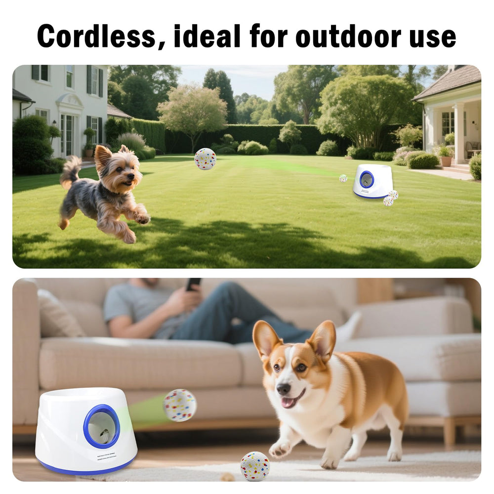 RERBIO safe materials emphasize pet-friendly design for relaxed play