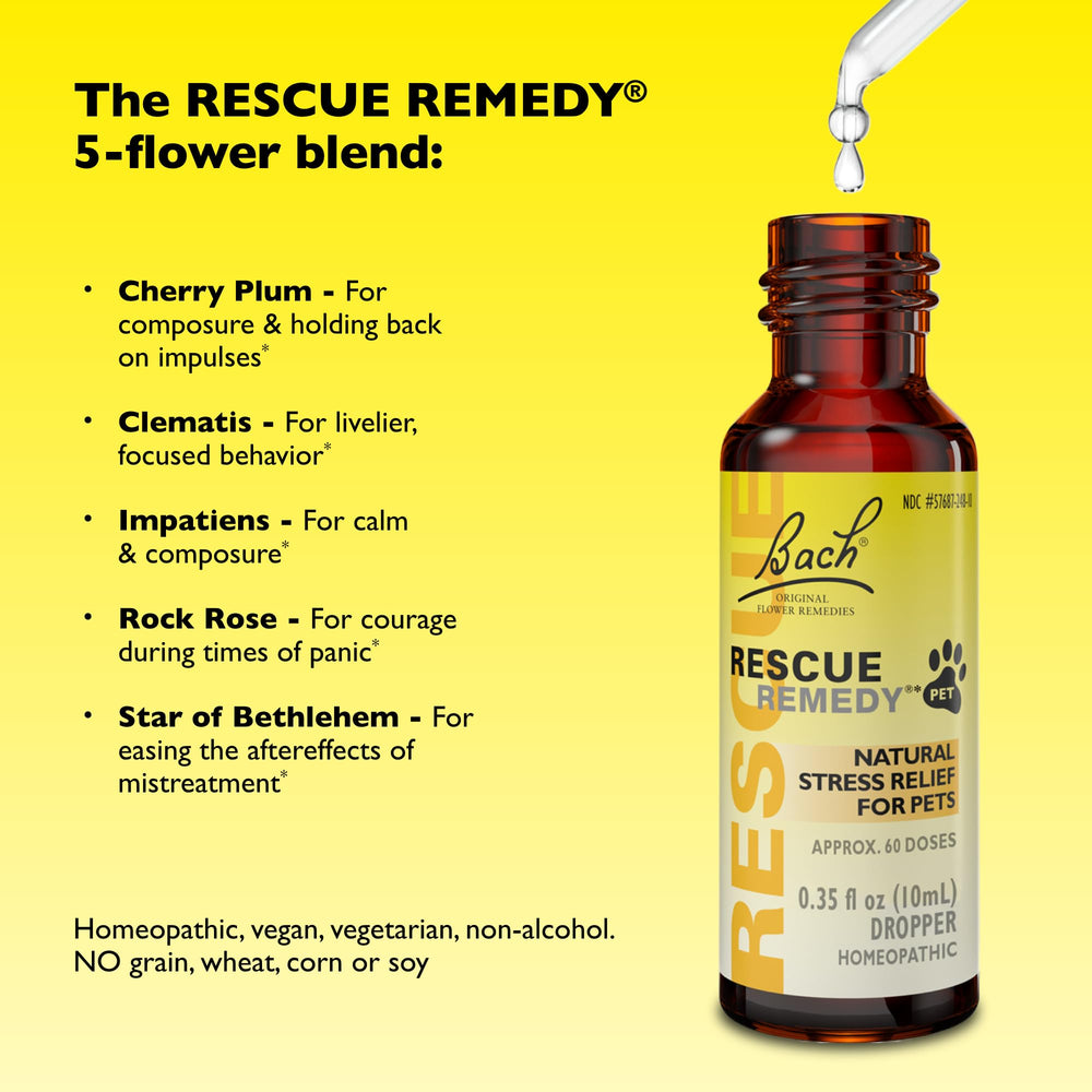 RESCUE Rescue Remedy Pet Dropper dog and cat on sofa during thunderstorm trial.