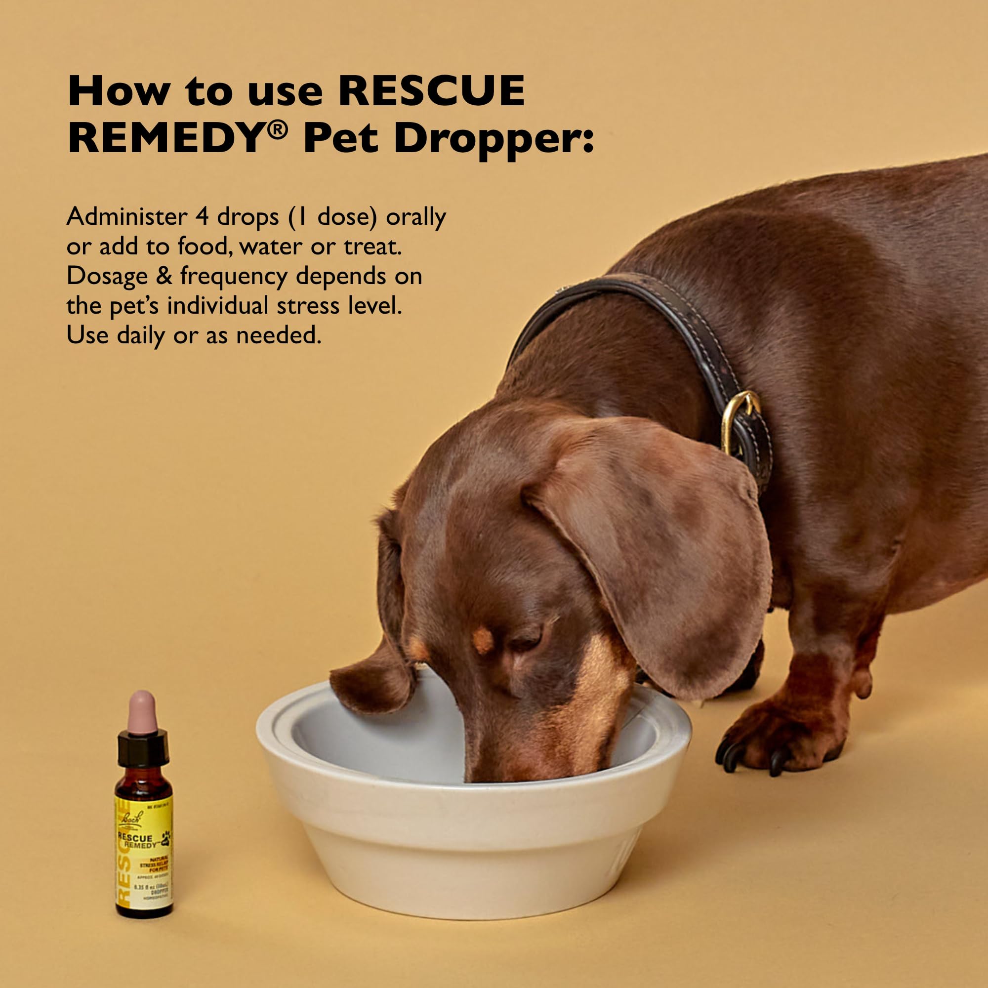 RESCUE Remedy Pet Dropper bottle-dosed directly to food or water for convenience.