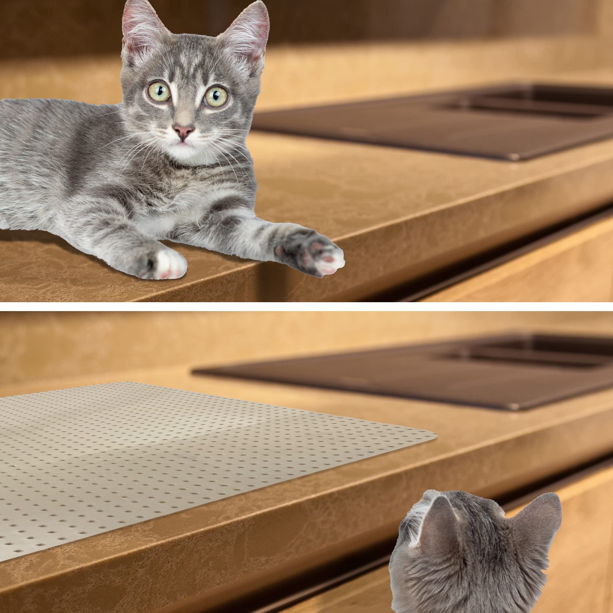 RESILIA indoor-outdoor use beige mat shows versatile pet protection at home.