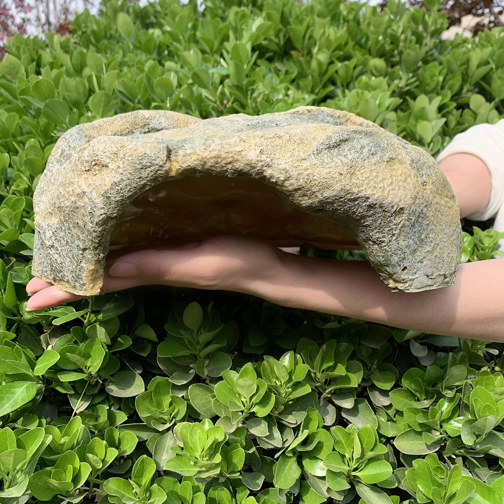 Resin Reptile Hide smooth interior for safe easy cleaning.