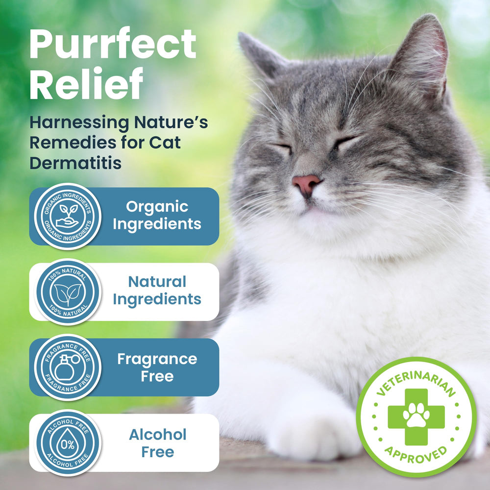 ResQ Organics Cat Paw Balm jar closeup highlighting Manuka honey and aloe ingredients.