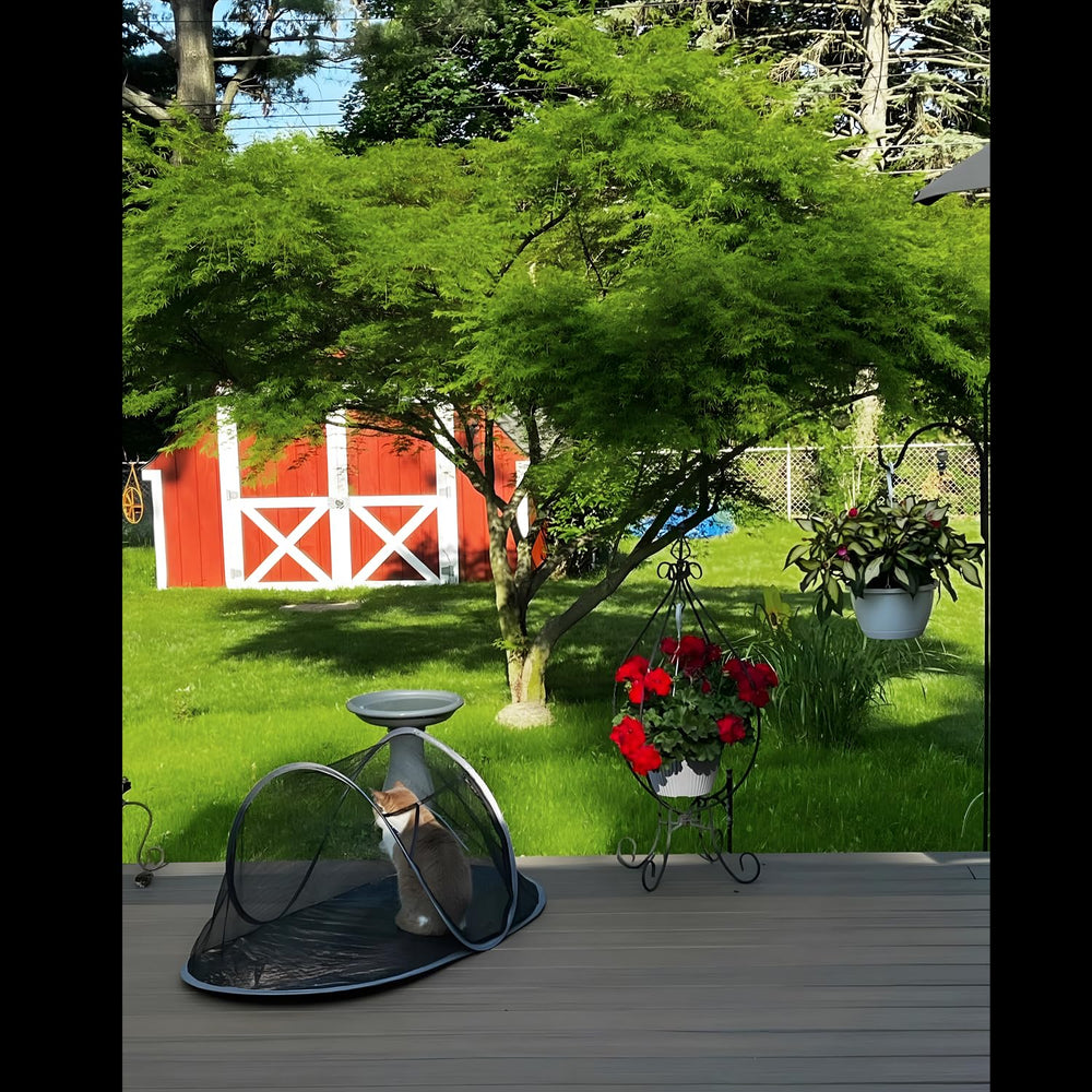 Rest-Eazzzy cat tent outdoor outdoor-yard setup for supervised play.