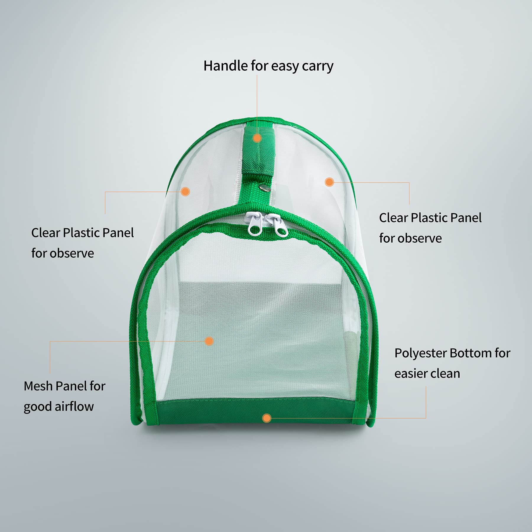 RESTCLOUD insect mesh cage front panel offers clear observation during caterpillar development
