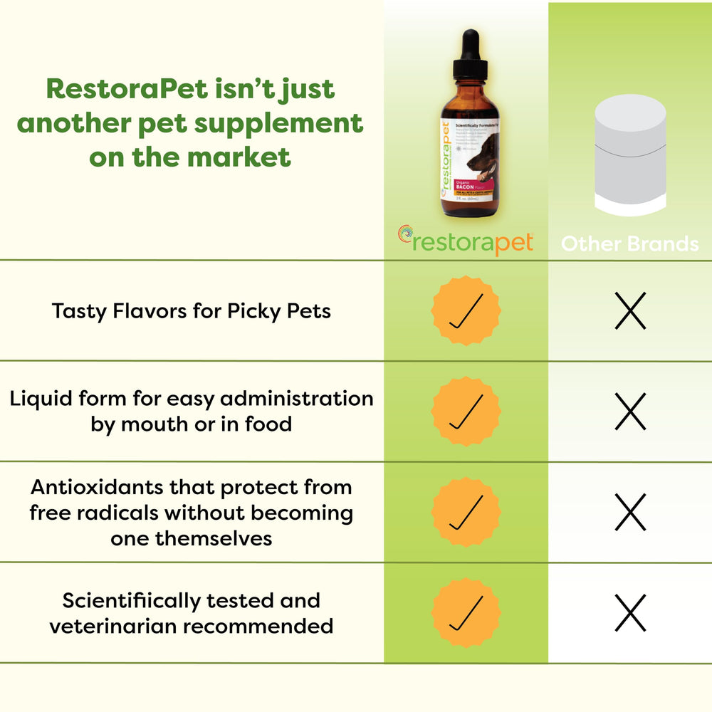 RestoraPet antioxidants wellness illustration emphasizes cellular wellness and overall vitality.