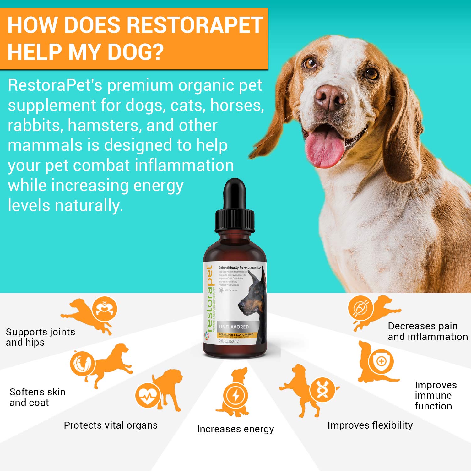 RestoraPet arthritis relief label highlights the joint-focused formula.