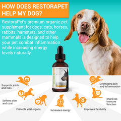 RestoraPet arthritis relief label highlights the joint-focused formula.
