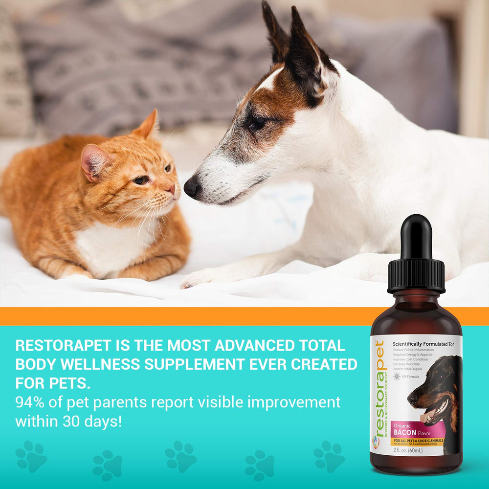 RestoraPet meal-mix dosing guidance shows simple daily use.