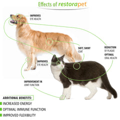 RestoraPet hip joint health visuals highlight potential mobility support for pets